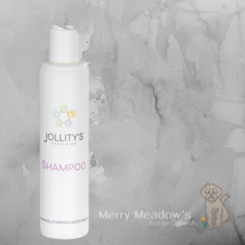 Jollity's Shampoo